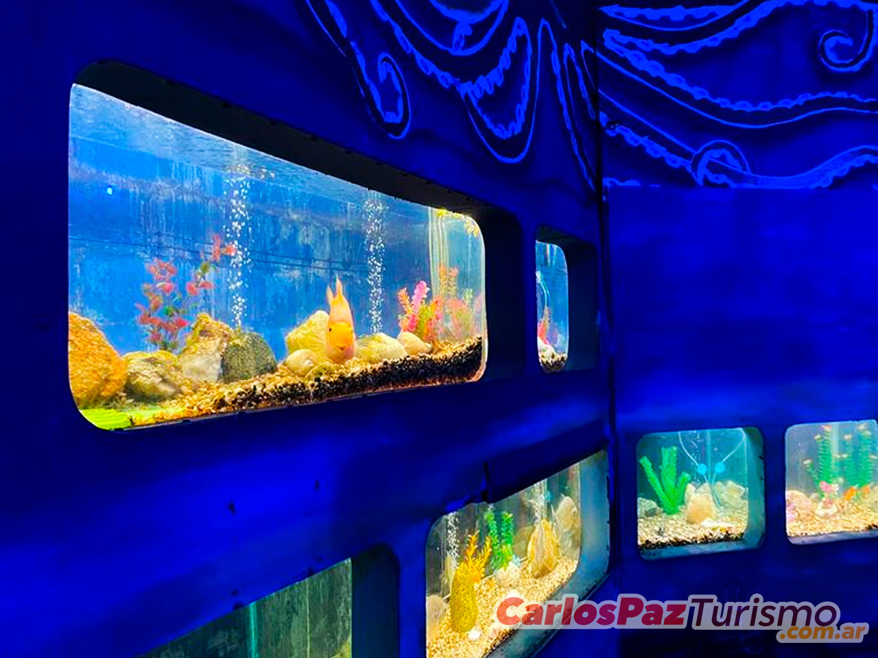 Expoacuario y Serpentario en Carlos Paz