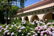 La Posada Del Bosque